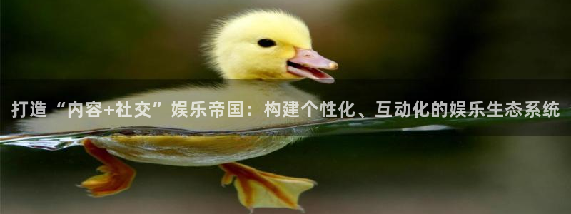 新航娱乐登录地址：打造“内容+社交”娱乐帝国：构建个性化、互动化的娱乐生态系统