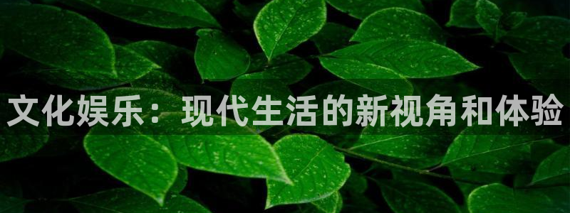 upload/20250701114914.jpg